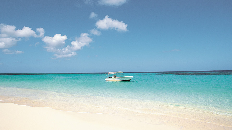 Immagine Anguilla
