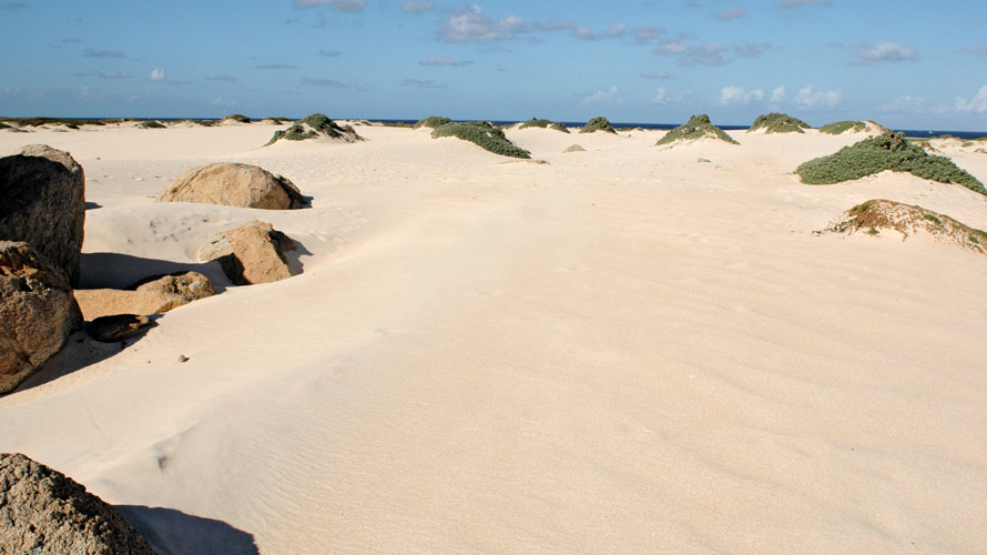 Immagine Aruba
