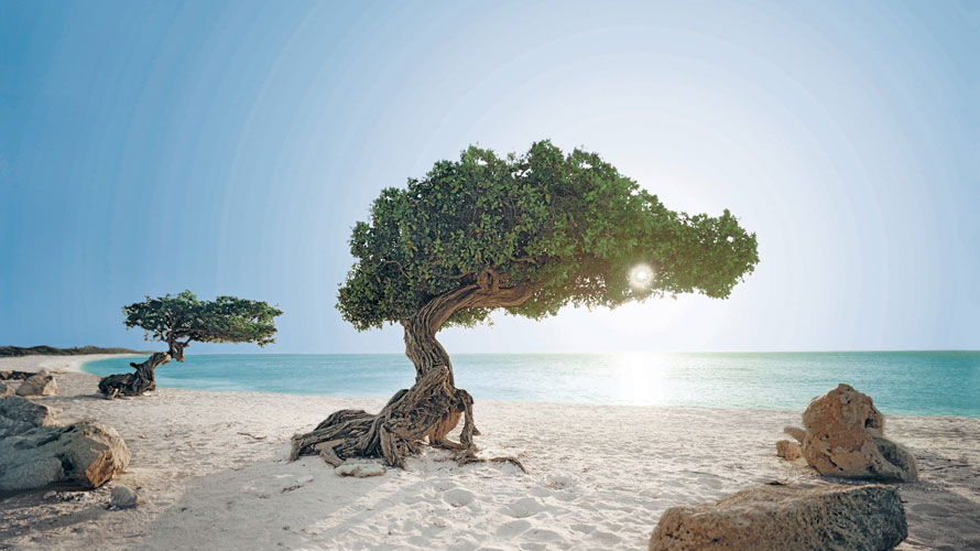 Immagine Aruba