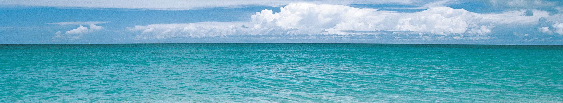 Isole Vergini - Viaggio Isole Vergini - Destinazione Isole Vergini - Catalogo Isole Vergini - Vacanza Isole Vergini