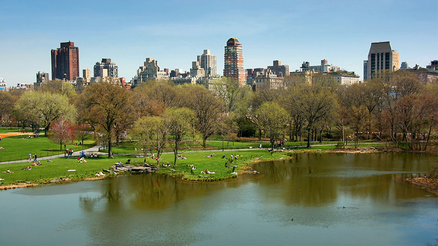 Offerta Best of New York Offerta Best of New York